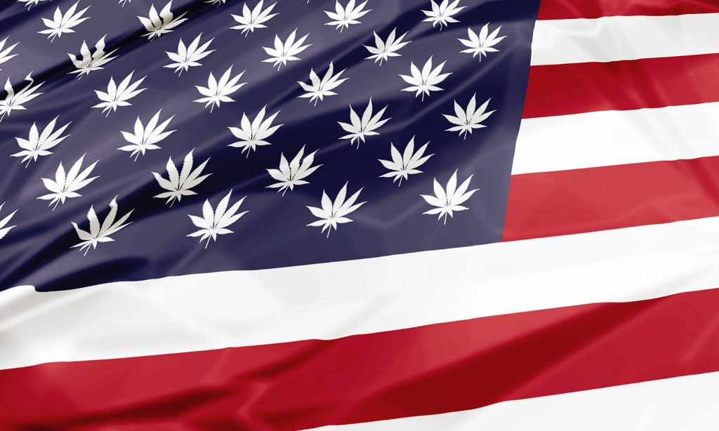 America Marijuana