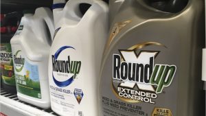 Jury Says Common Weed-Killer Roundup Contributed To Man's Cancer