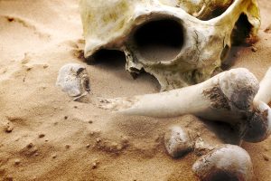 Death in the Desert