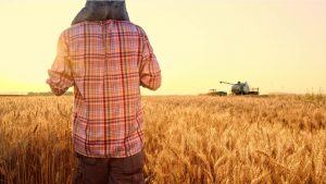 Trump Admin Weakens Rules on Toxic Pesticide Drift